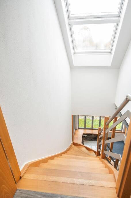 Odenwaldblick Lejlighed Lutzelbach Eksteriør billede